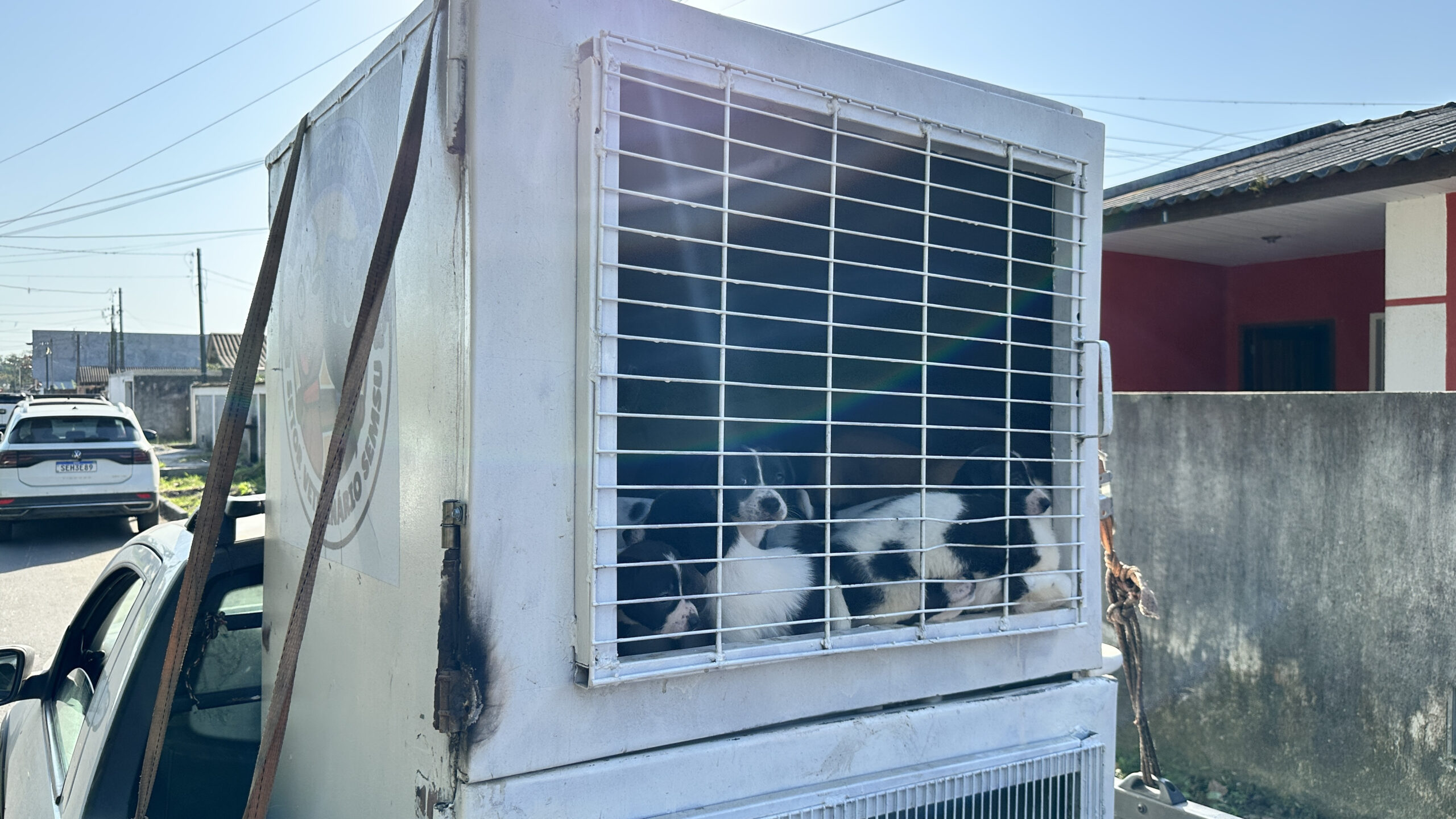 Foto: Matheus Campos