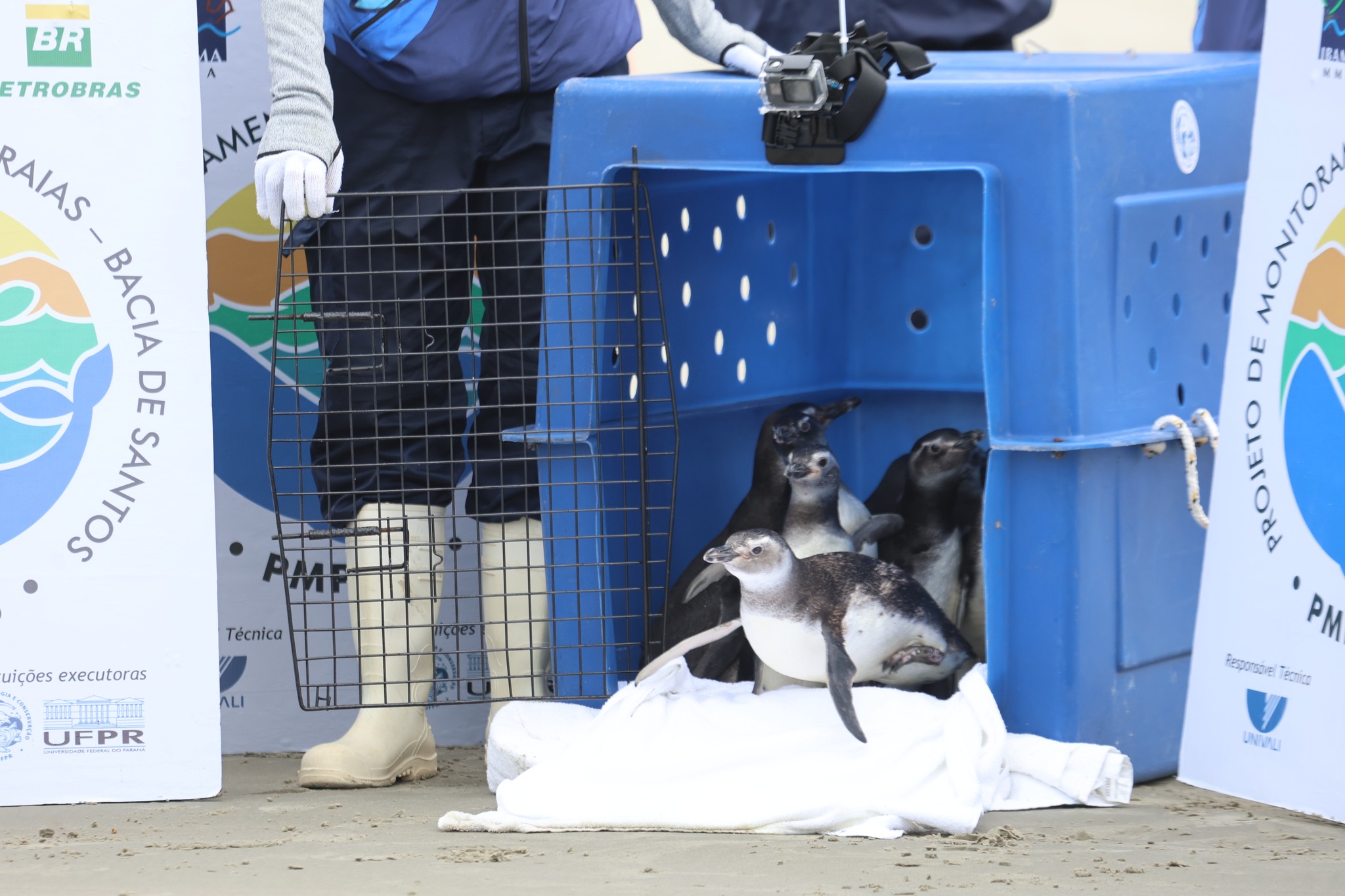 Foto: PMPPR/ Clovis Santos