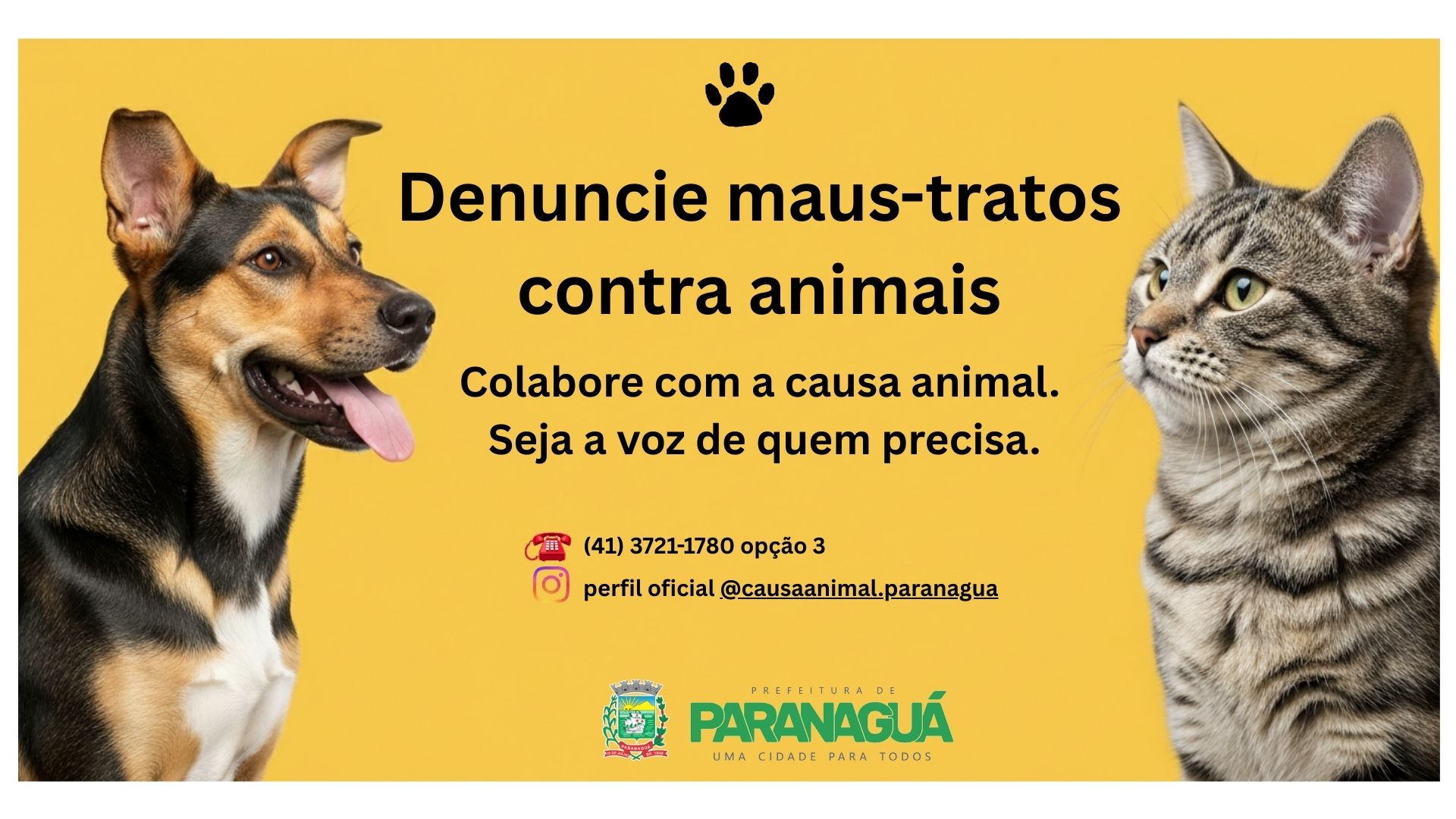 Foto: Prefeitura de Paranaguá