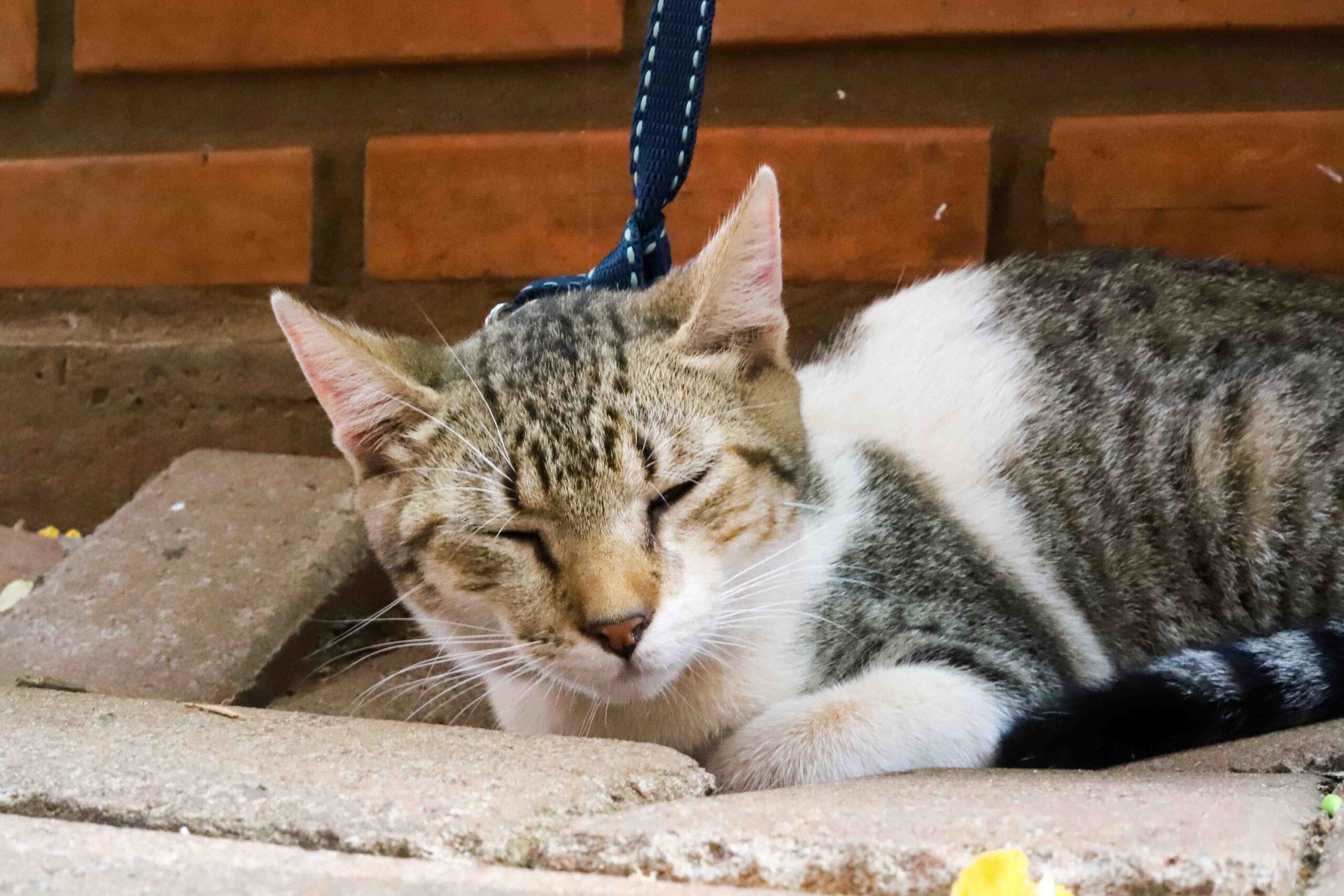 Foto: Patryck Madeira/Arquivo/Sedest