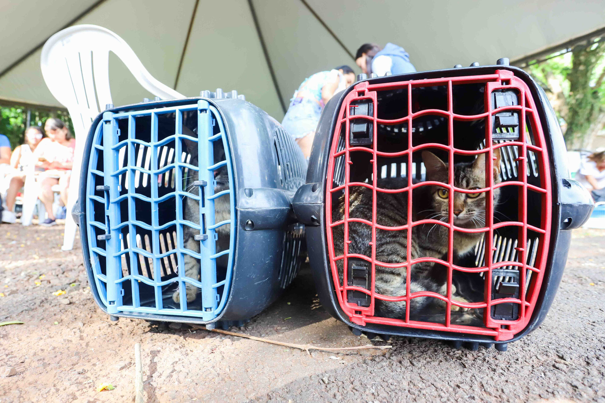 Foto: Patryck Madeira/Arquivo/Sedest