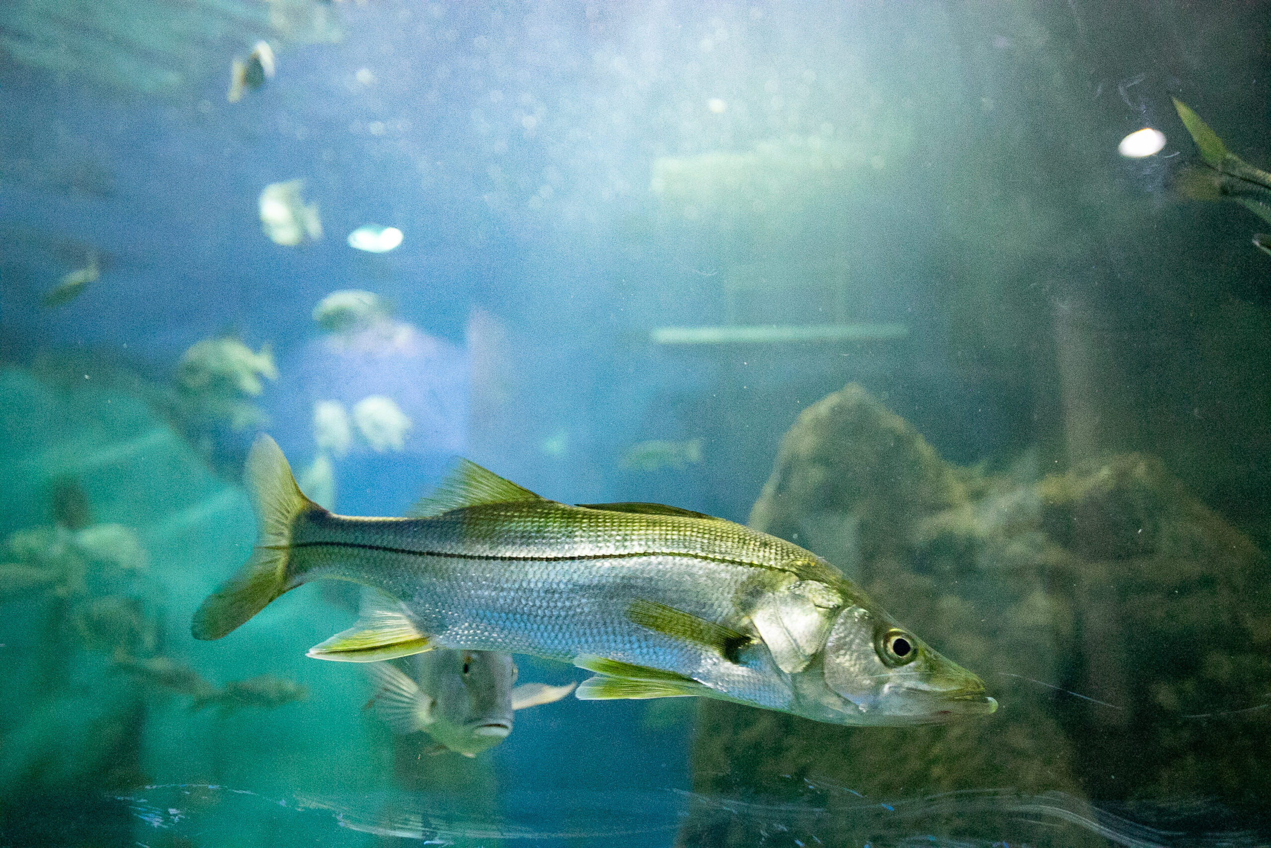 Foto: Portos do Paraná