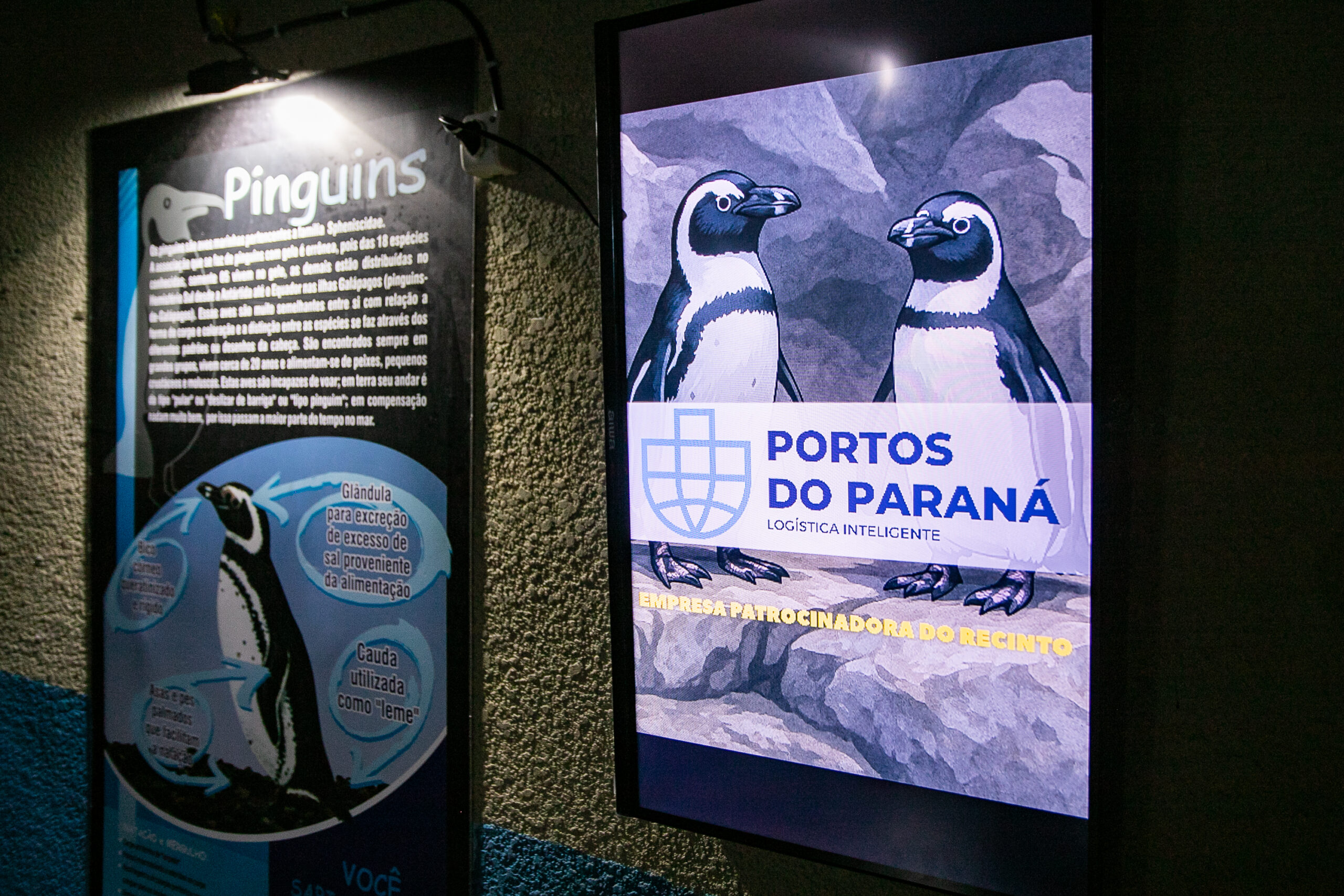 Foto: Portos do Paraná