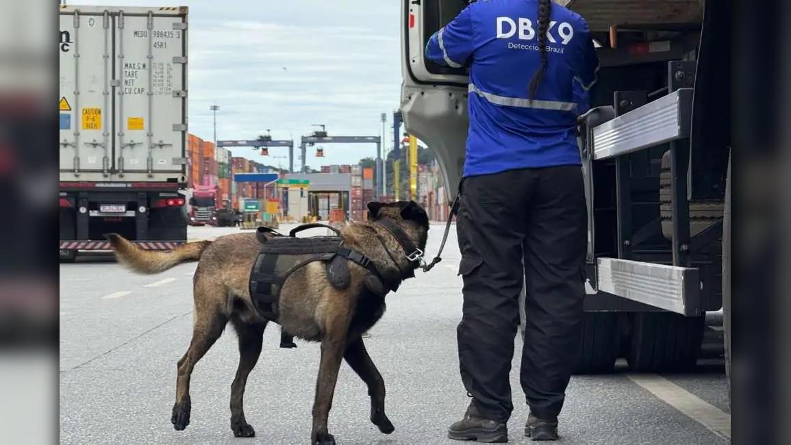 Foto: Divulgação/ TCP