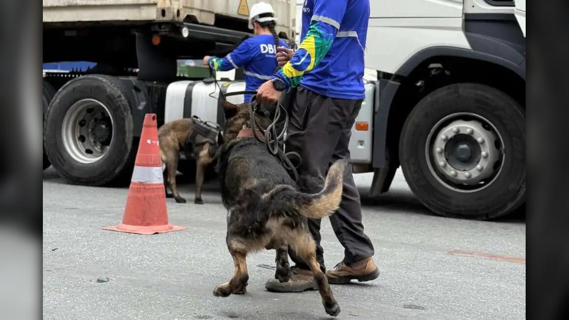 Foto: Divulgação/ TCP