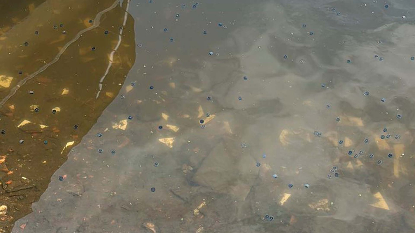 Foto: Wilson Leandro