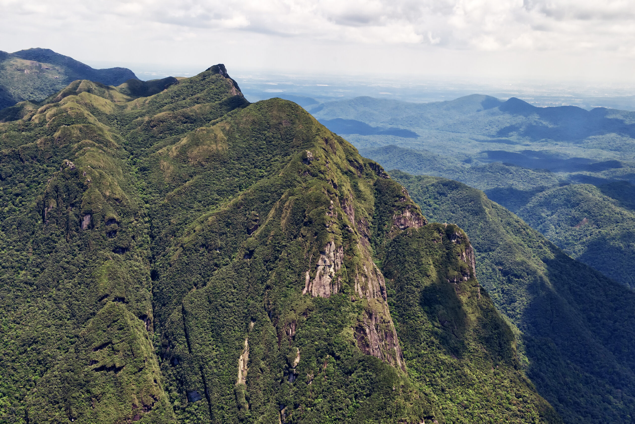 Foto: Denis Ferreira Netto/SEDEST-PR