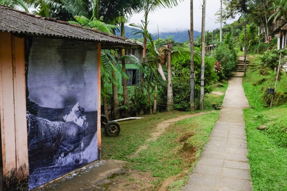 Foto de Gio Negromonete 