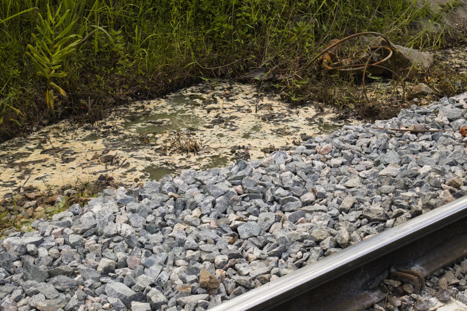 Foto: Prefeitura de Morretes