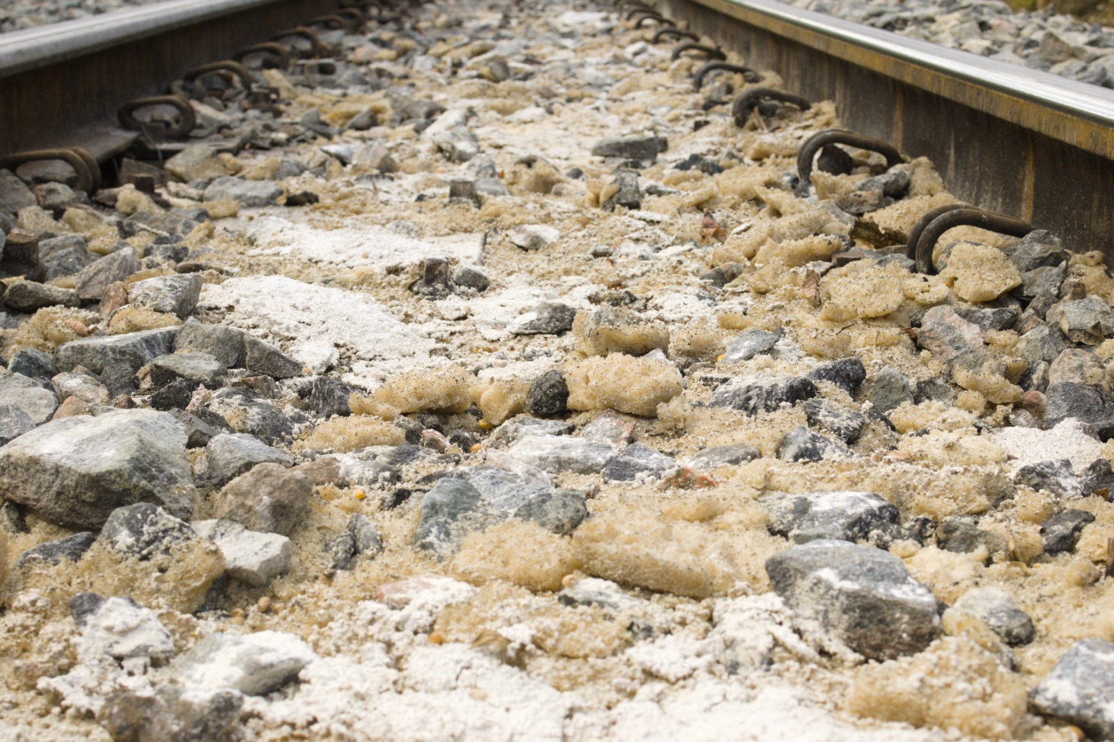 Foto: Prefeitura de Morretes