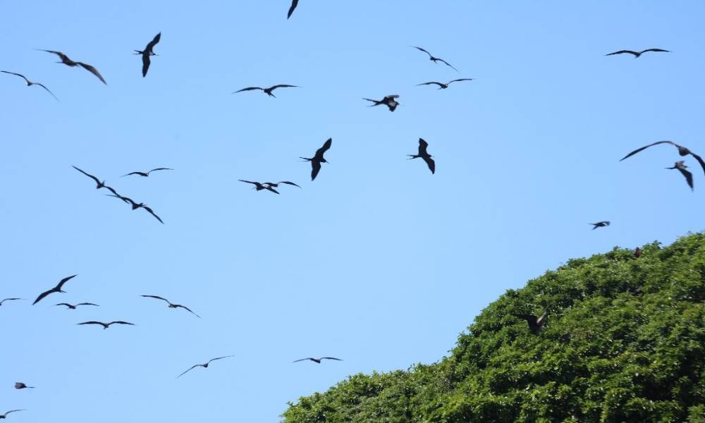 Foto: Clovis Santos/Prefeitura de Pontal do Paraná
