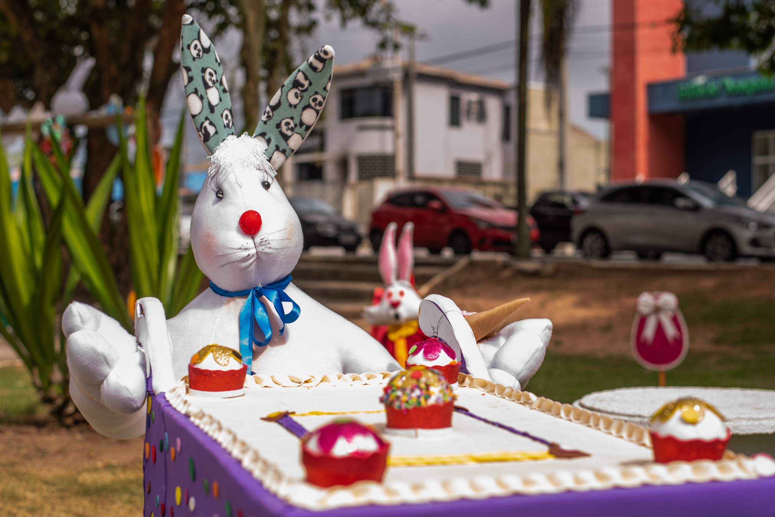 Foto: Moyses Zanardo/Prefeitura de Paranaguá