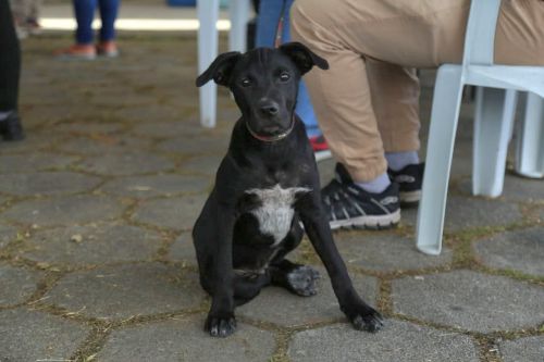 Foto: Clovis Santos/Prefeitura de Pontal do Paraná