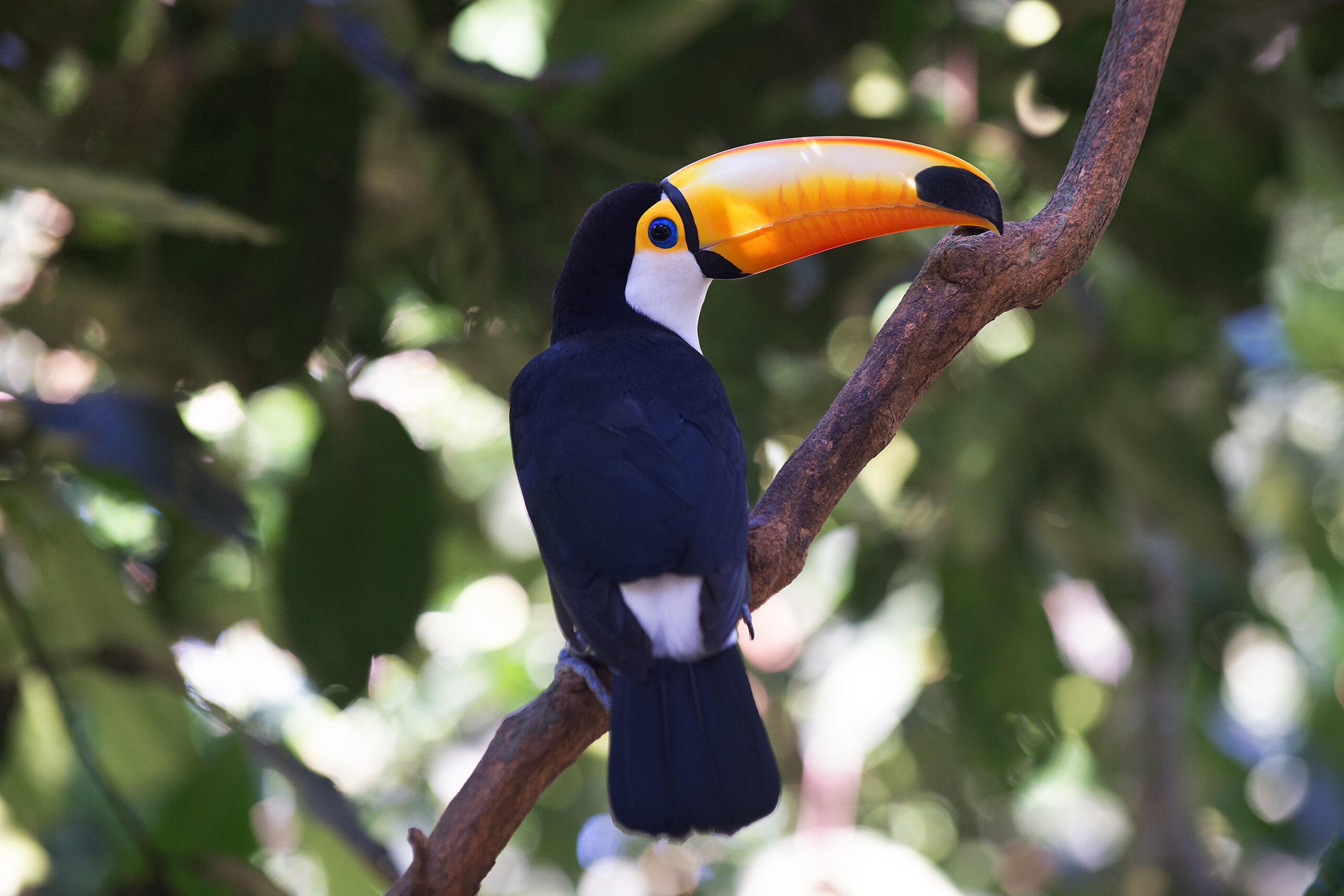 Foto: Denis Ferreira Netto/SEDEST