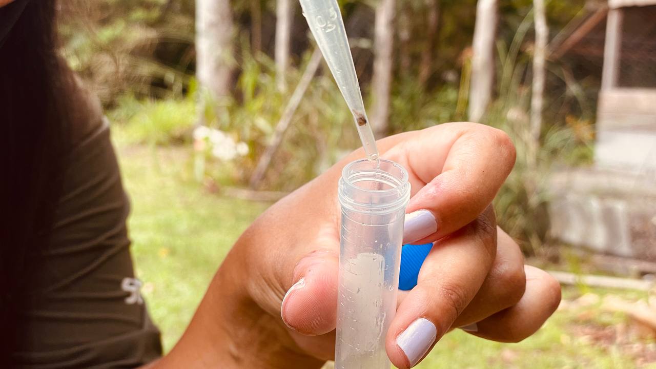 Foto: PMPPR/ Guilherme Guimarães