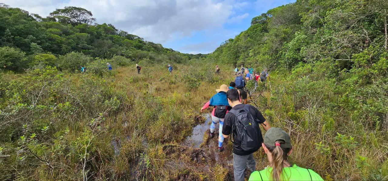 Foto: Prefeitura de Pontal do Paraná