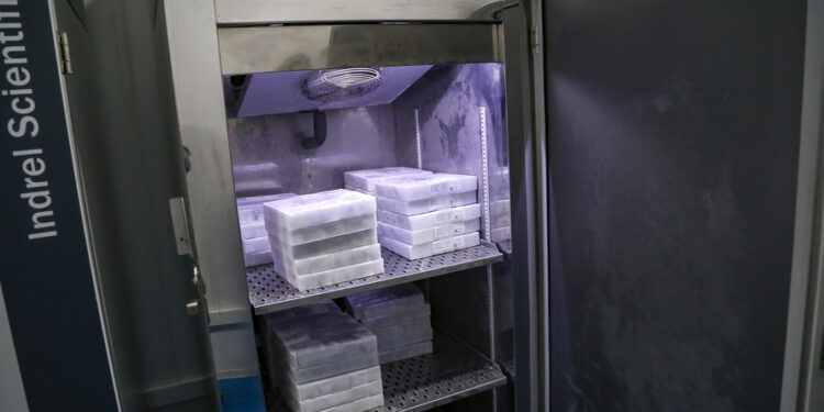 Saúde distribui imunizantes da última remessa da Pfizer para 32 municípios