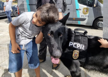 PCPR oferece serviços de polícia judiciária para a população de Morretes dias 16, 17 e 18