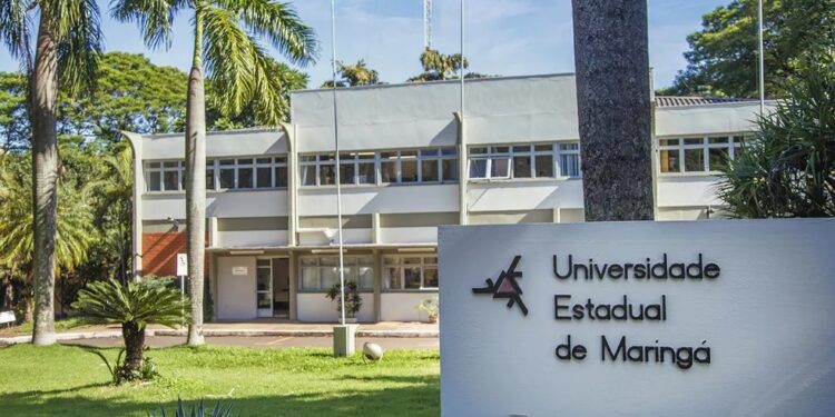 Professores de quatro universidades estaduais suspendem greve