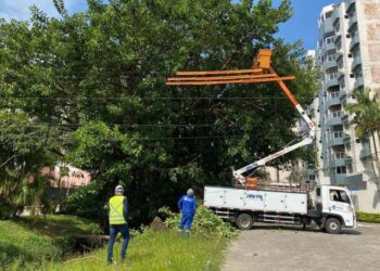 Matinhos: replantio de grama começa a dar nova aparência ao Canal da Avenida Paraná