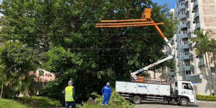 Matinhos: replantio de grama começa a dar nova aparência ao Canal da Avenida Paraná