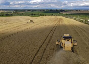 PIB do Paraná cresce 4 vezes mais que o PIB do média do brasil no 1.º trimestre de 2023