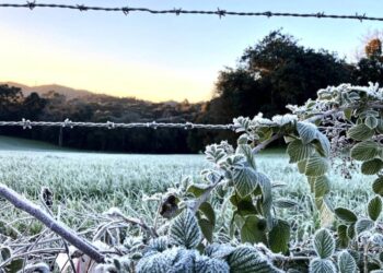 Simepar prevê inverno com poucas ondas de frio, veranicos, nevoeiros e geadas