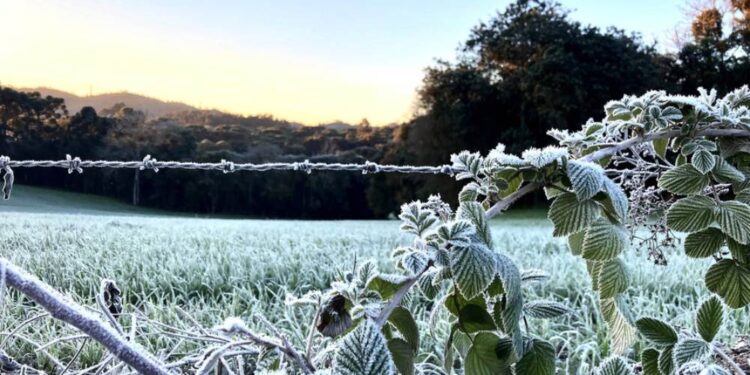 Simepar prevê inverno com poucas ondas de frio, veranicos, nevoeiros e geadas