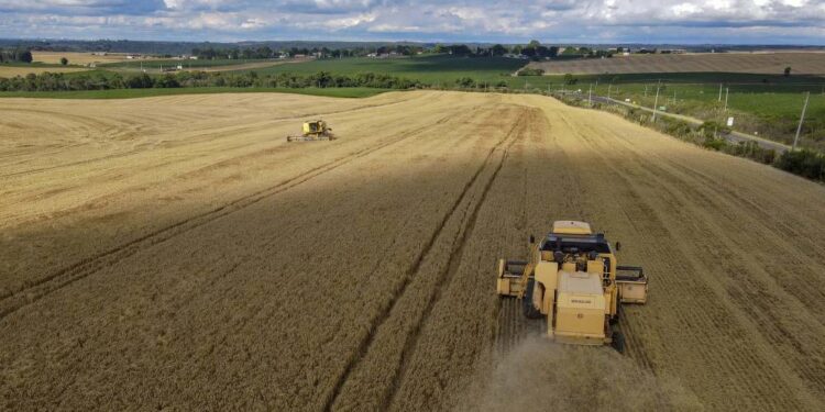 PIB do Paraná cresce 9,16% no 1.º trimestre de 2023