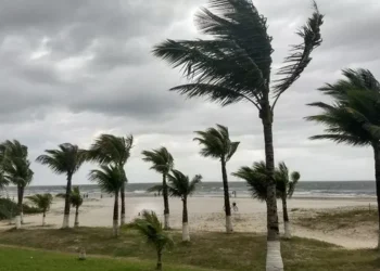 Defesa Civil emite alerta para ventos de até 110 km/h no Paraná por conta de ciclone extratropical