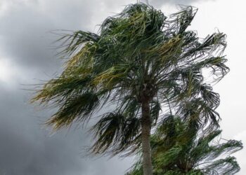 Marinha do Brasil emite alerta de ventos intensos para o litoral do Paraná