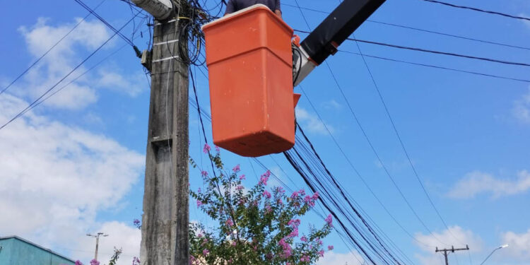 Prefeitura de Paranaguá garante 25% de redução do consumo de energia desde 2019