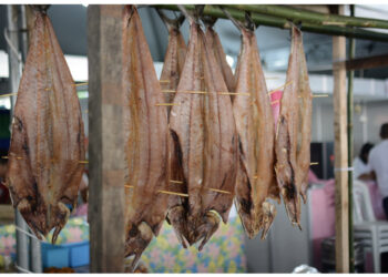 11.ª Festa Nacional da Tainha comercializou mais de 20 toneladas do pescado