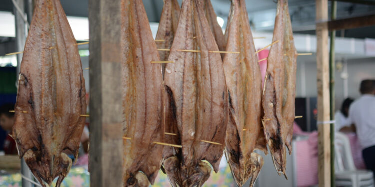 11.ª Festa Nacional da Tainha comercializou mais de 20 toneladas do pescado