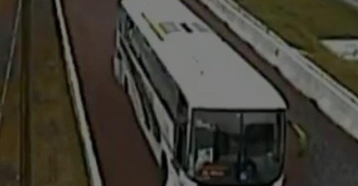 Em sete horas, 30 vidas foram salvas nas áreas de escape da BR-376