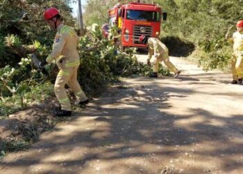 Ciclone extratropical: ventos fortes atingem o litoral do Paraná