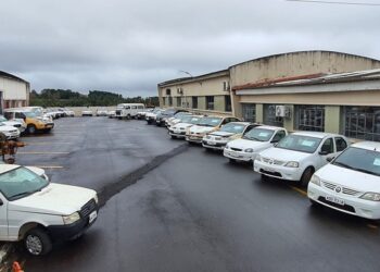 Estado promove novo leilão com mais de 220 veículos recuperáveis