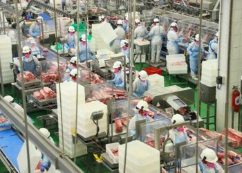 Com maior volume da história, Paraná liderou exportações de carne de frango no 1.º semestre