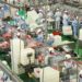 Com maior volume da história, Paraná liderou exportações de carne de frango no 1.º semestre