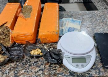 PM apreende quase dois quilos de entorpecentes em Morretes