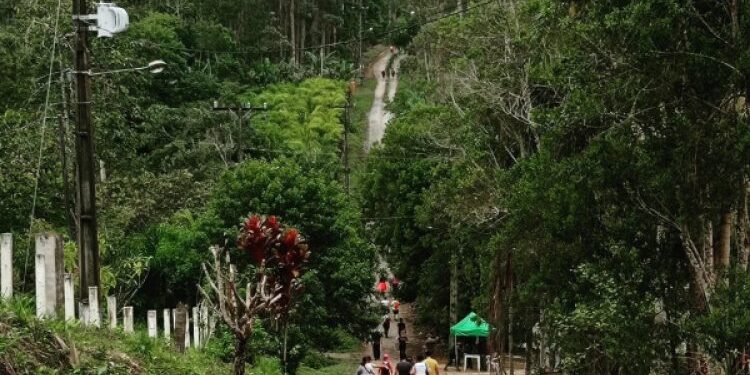 7.ª Caminhada na Natureza divulga agricultura familiar e turismo rural