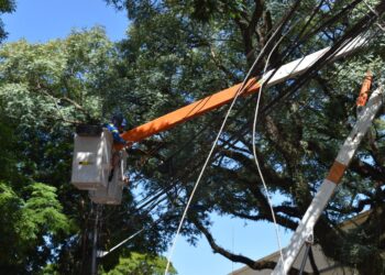 Copel recupera energia em 97% dos domicílios e reforça equipe na Grande Curitiba e Litoral