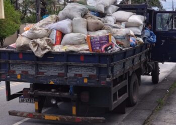 Aumento de ocorrências de furto e roubo de carga de soja preocupa setor portuário