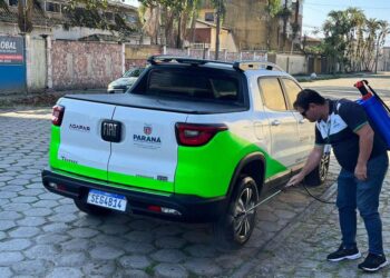 Estado já fez 414 fiscalizações para reforçar controle da gripe aviária no Litoral