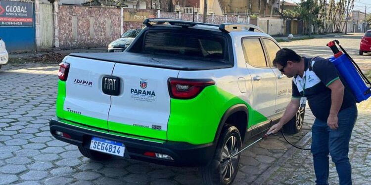 Estado já fez 414 fiscalizações para reforçar controle da gripe aviária no Litoral