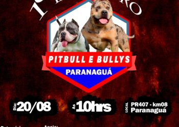 1.º Encontro de Pitbulls acontecerá no próximo domingo em Paranaguá