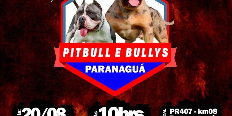 1.º Encontro de Pitbulls acontecerá no próximo domingo em Paranaguá