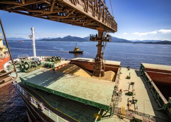 Complexo soja movimentou US$ 34 milhões por dia no Porto de Paranaguá em 2023