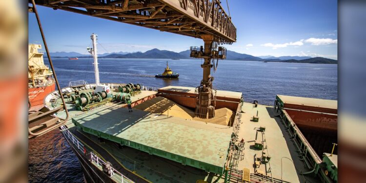 Complexo soja movimentou US$ 34 milhões por dia no Porto de Paranaguá em 2023