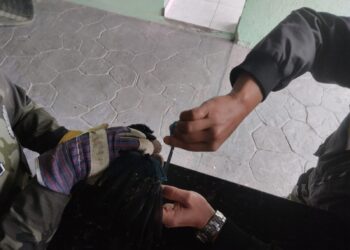 Polícia Ambiental resgata Gralha Azul presa em linha de cerol